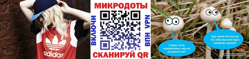 Псилоцибиновые грибы Psilocybine cubensis  Зубцов 